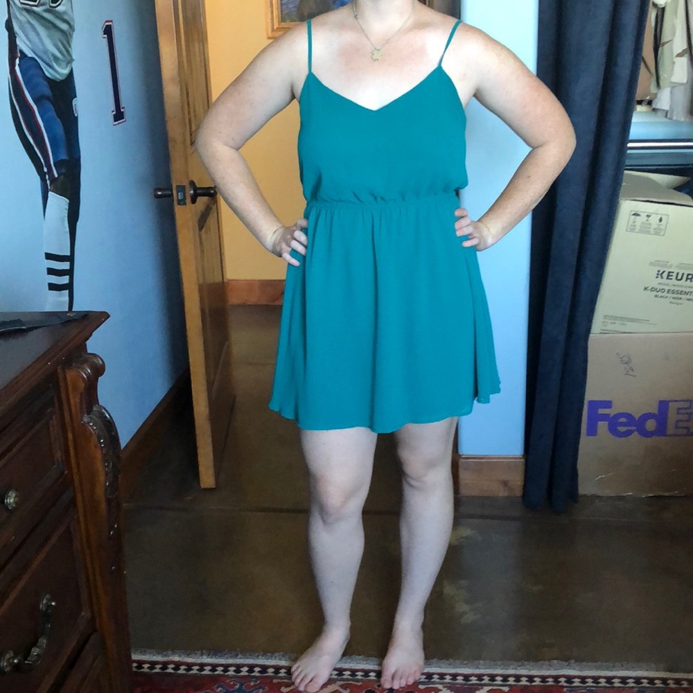 Naked Zebra Emerald Dress